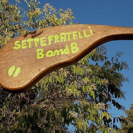 B&B Sette Fratelli San Gregorio  Exteriér fotografie