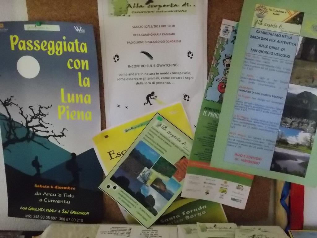B&B Sette Fratelli San Gregorio  Exteriér fotografie